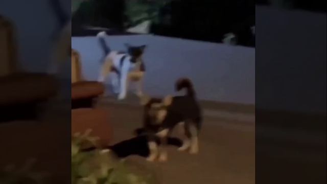 Почему бро звучит как Пакман