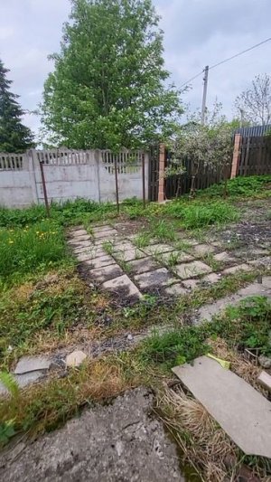Первый этаж + баня