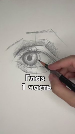 глаз