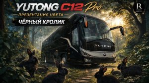 🚌 Yutong 6128  - Черный Кролик. Презентация цвета!