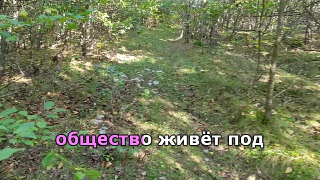 У лукоморья