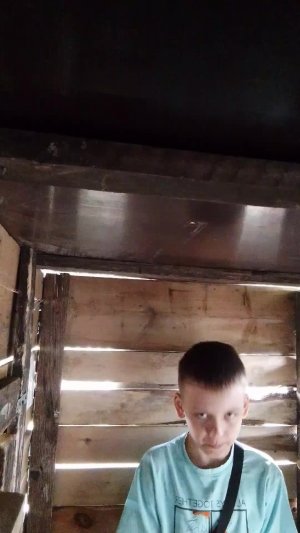 Выживание в домике