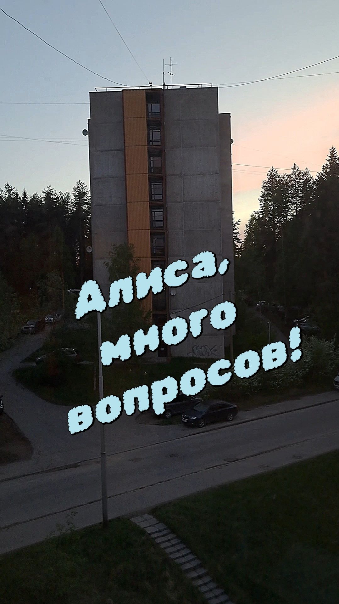 Алиса, много вопросов!!!