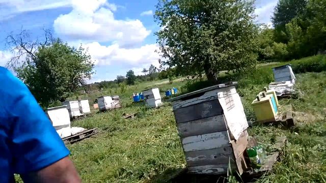 24 мая смотреть онлайн