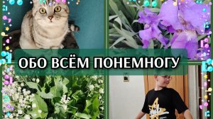 24-05-2026 Цветов не будет👎 Цветущий хрен😁 Кекс с яблоком🍎 Комментарии❤️ Обновки Ване🤗