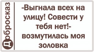 -Выгнала всех на улицу! Совести у тебя нет!- возмутилась моя золовка