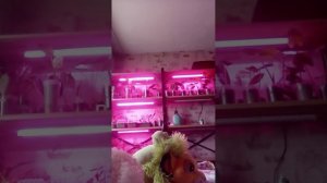1000018449.mp4