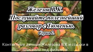 Железов В.К.  Послушайте полезнейший разговор с Тюменью. Серия 2.