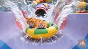 🐱✨ Когда котята играют с мамиными украшениями… Мама-кошка преподносит самый сладкий сюрприз 🍭💕
