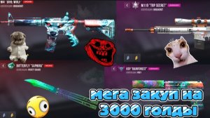 ЗАКУП НА 3000 ГОЛДЫ В СТАНДОФФ 2!!!