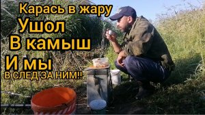 Рыбалка в Курской области, весь карась у камыша.
