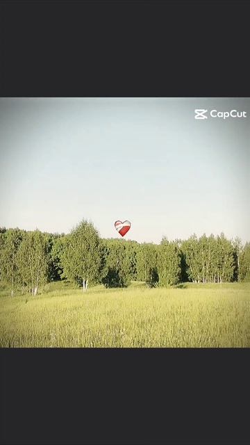 🔥лето🔥