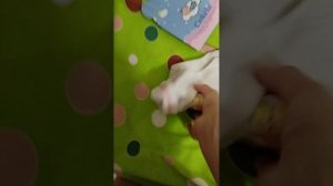 сбор к бабушке за неделю и один день