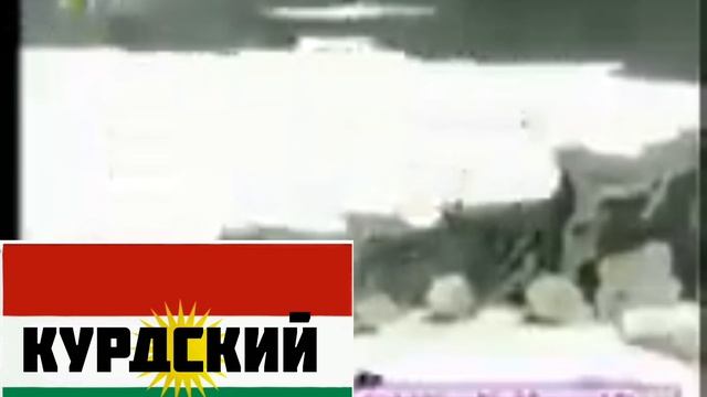 ну погоди! 16 выпуск на разных языках