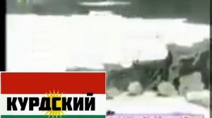 ну погоди! 16 выпуск на разных языках