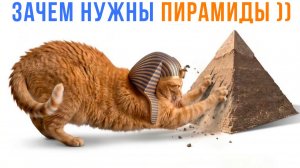 ЗАЧЕМ СФИНКСАМ ПИРАМИДЫ ))) Приколы с котами | Мемозг 1759
