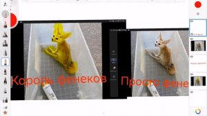 Не атличаеся да?