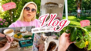 VLOG🇩🇪: 🏡КУДА ЕДЕМ В ОТПУСК?!🏡ОКРОШКА С МЯСОМ/ КОТ НА ПРОГУЛКЕ 🥰уже свои огурцы 😃🥒