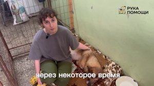 Приболела не просто собак, а наш член семьи