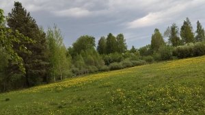 Красота природы