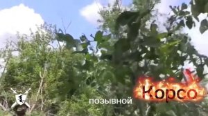 песня позывной Корсо от Baba Yaga Phenom