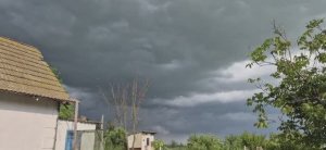 ИДЁТ ГРОЗА,А У МЕНЯ КРЕВЕТКИ ПОД ФИЛЬМ🌫⛈️⛈️⛈️🦐🦐🦐💻📺