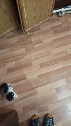 VID_20260524_061831