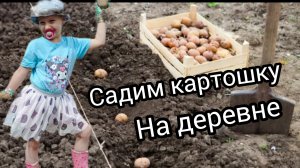Приехали в деревню Посадили картошку послушали фауну