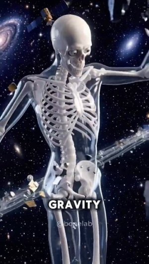 Что, Если Бы Вы Росли На 1 см Каждую Секунду? • Bone Lab #шортс #facts #факты #top