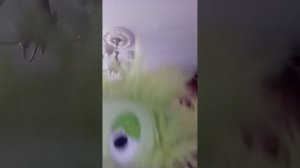 1000018441.mp4