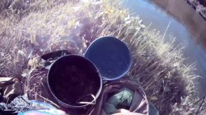 Рыбачил на пикерное удилище🎣 Вечерний клёв на донку. Прикормка Стерля (Чеснок-Кориандр-Плотва).