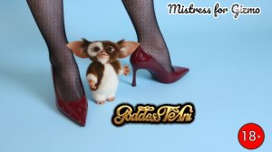 Mistress for Gizmo