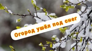 ПРИШЛА ВЕСНА - ВСЕМ НЕ ДО СНА #лайфстайл
