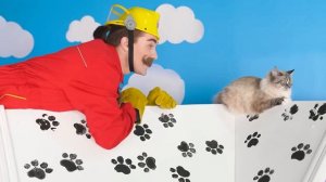 Строим Домики для Животных # Смешные Челленджи ч. 2