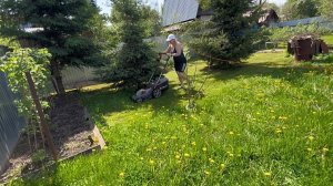 23 мая. Первый покос травы. Складываем оцинкованную грядку