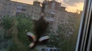поехали на мулянку