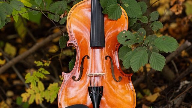 Классическая музыка | Скрипка музыка | Современная классика музыка