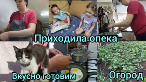 К нам прих приходила опека