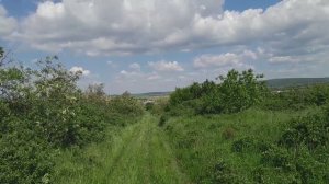 Сот мечта в Анапе, снт мечта в Анапе, Анапа, черное море, дачи в Анапе