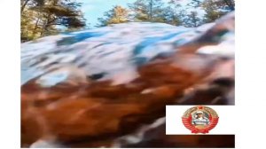 Годы учат