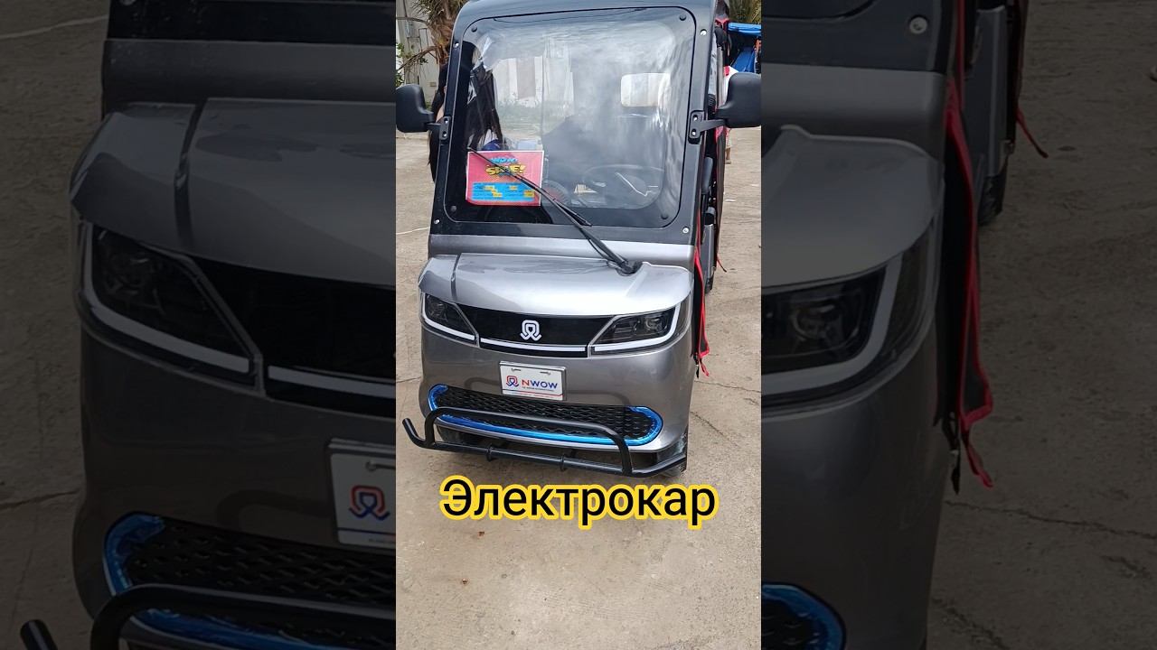 Китайские электрические машины #филиппины #семьявместе #жизньнафилиппинах