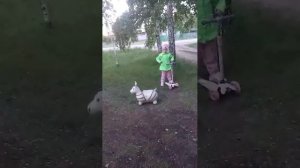 прогулка перед сном