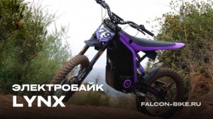 ЭЛЕКТРОБАЙК LYNX
