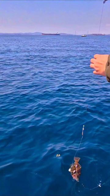 Небо синее, море синее...
ждем только тебя на морскую рыбалку во Владивосток! Всё для рыбалки уже вк