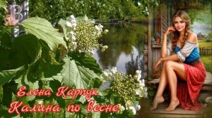 Калина по весне🎶🌳(Там за селом)Елена Карпук