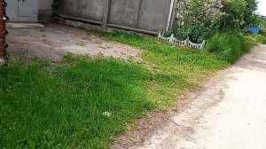 24-05-2026   забрала  артикул  958246094