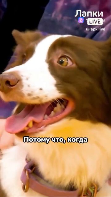1000027365.mp4
