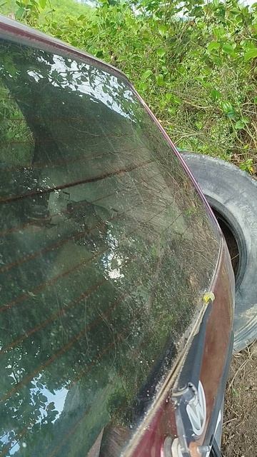 Гольф с характером) смотреть онлайн