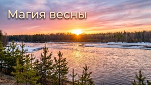 Когда природа оживает… Первые мгновения весны