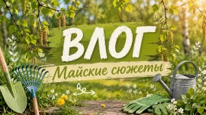 ВЛОГ. Майские сюжеты